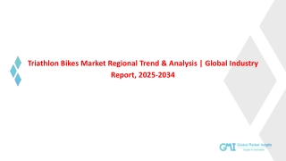 Triathlon Bikes Market Growth & Regional Analysis | 2025-2034