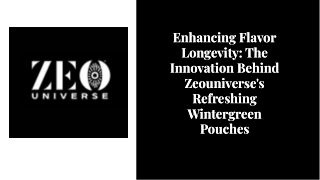 Wintergreen Pouches for Refreshing Flavorful Experience Everyday