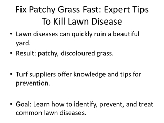 Fix Patchy Grass Fast: Expert Tips To Kill Lawn Disease