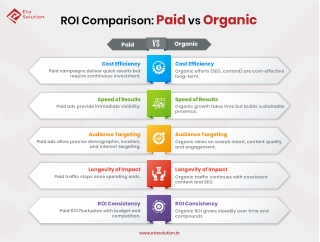 ROI Comparison_ ROI Comparison_ Paid vs Organic