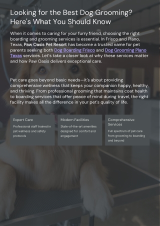 Looking for the Best Dog Grooming? Here’s What You Should Know