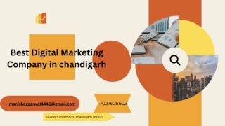 Best Digital Marketing Company in chandigarh