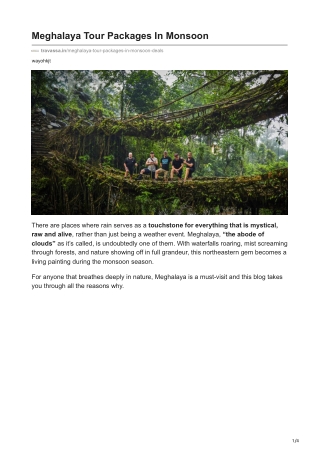 travassa.in-Meghalaya Tour Packages In Monsoon