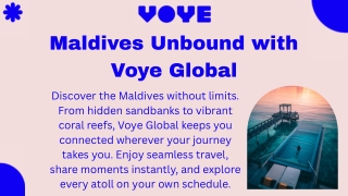 Explore the Maldives with Reliable Data by Voye Global