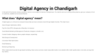 Digital Agency in Chandigarh