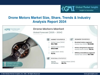 Drone Motors Market Size, Share, Trends & Industry Analysis Report 2034