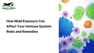 Understanding How Mold Exposure Impacts Your Immune System Health