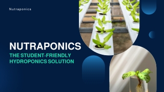Interactive Education with Nutraponics Hydroponics