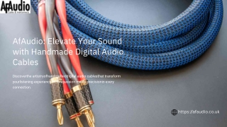 RCA Audio Cables – Reliable Connections for Clear and Balanced Sound