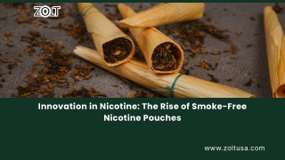 Innovation in Nicotine The Rise of Smoke-Free Nicotine Pouches