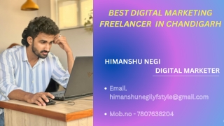 Best Digital Marketing Freelancer Chandigarh