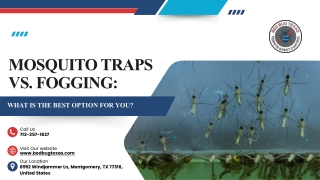 Mosquito Traps vs. Fogging: Which is Best for You?