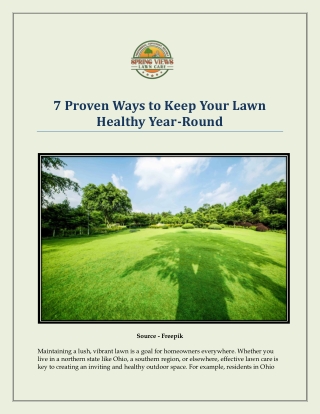 7 Proven Ways to Keep Your Lawn Healthy Year-Round