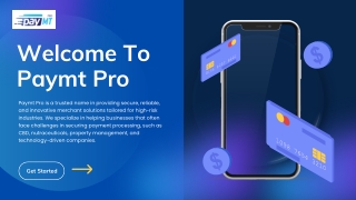 High-Risk Merchant Solutions Made Simple with Paymt Pro