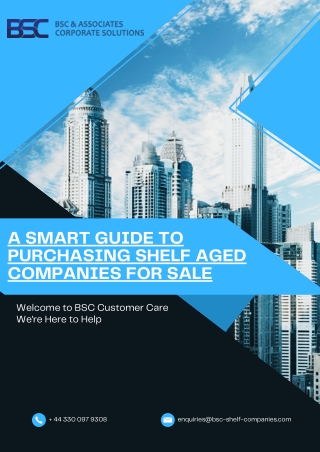 A Smart Guide to Purchasing Shelf Aged Companies for Sale