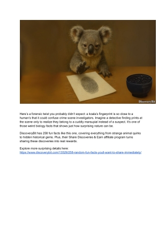 Here’s a forensic twist you probably didn’t expect_ a koala’s fingerprint is so close to a human’s that it could confuse