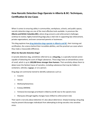 How Narcotic Detection Dogs Operate in Alberta