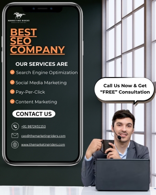 SEO Company in Mohali | The Marketing Riders