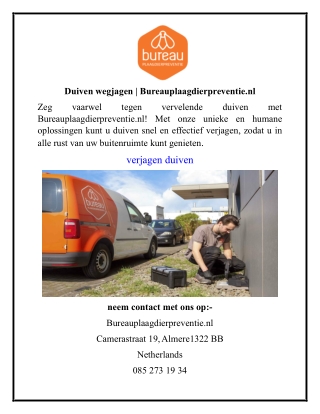 Duiven wegjagen  Bureauplaagdierpreventie.nl