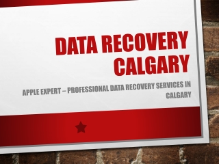 Data Recovery Expert Calgary