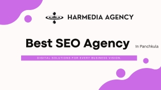 Best SEO Agency in Panchkula | HarMedia Agency