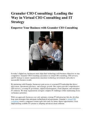Granuler CIO Consulting
