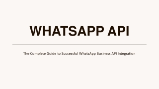 The Complete Guide to Successful WhatsApp Business API Integration