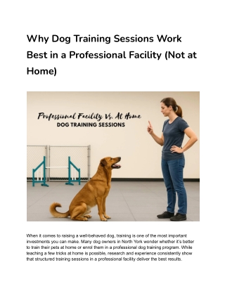 Why Dog Training Sessions Work Best in a Professional Facility (Not at Home)