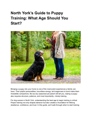 North York Puppy Training: Understanding the Right Starting Age