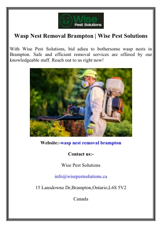 Wasp Nest Removal Brampton  Wise Pest Solutions