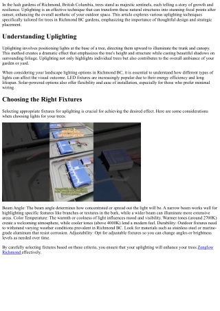 Uplighting Techniques to Highlight Trees in Richmond BC Gardens