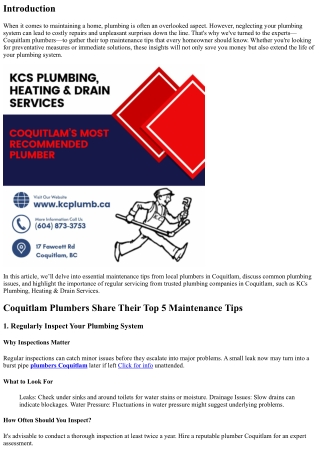 Coquitlam Plumbers Share Their Top 5 Maintenance Tips