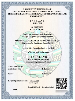 Energetika ko'chirma