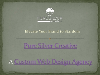 Custom Web Design Agency Elevate Your Brand to Stardom