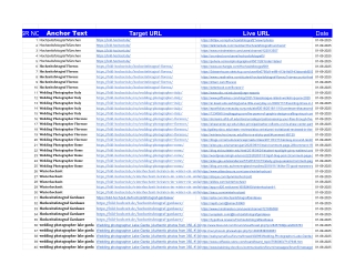 SEO - All Keywords Backlinks   https___bild-hochzeit.de_  month 5 - Tabellenblatt15 (3)