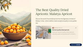 The Best Quality Dried Apricots - Malatya Apericot