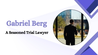 Gabriel Berg - A Seasoned Trial Lawyer