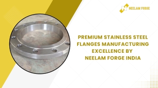PREMIUM STAINLESS STEEL FLANGES MANUFACTURING EXCELLENCE BY NEELAM FORGE INDIA