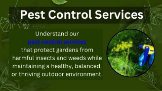Pest Control Services