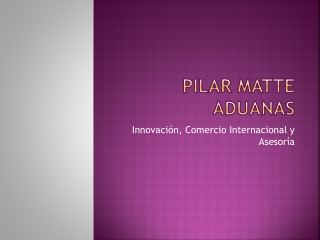 Pilar Matte Aduanas: Innovación y Comercio Exterior