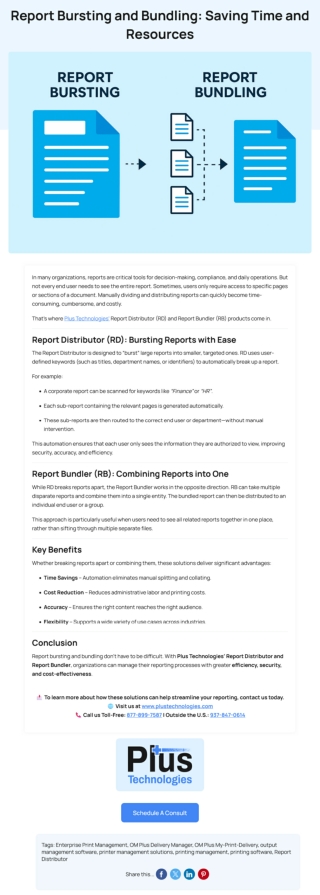 Report Bursting and Bundling  Saving Time and Resources   Plus Technologies