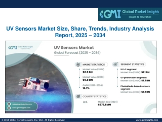 UV Sensors Market Size, Share, Trends, Industry Analysis Report, 2025 – 2034