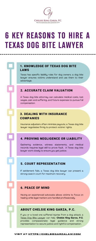 6 Key Reasons to Hire a Texas Dog Bite Lawyer