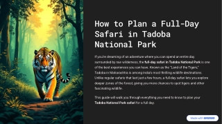 how to plan a full day safari in tadoba national park