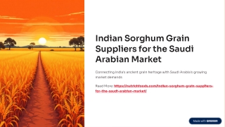 Indian Sorghum Grain Suppliers for the Saudi Arabian Market