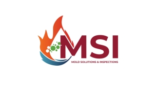 MSI Offers Professional Mold Remediation Services