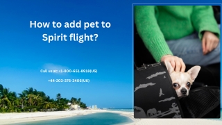 1-800-651-8918 How to add pet to Spirit flight?
