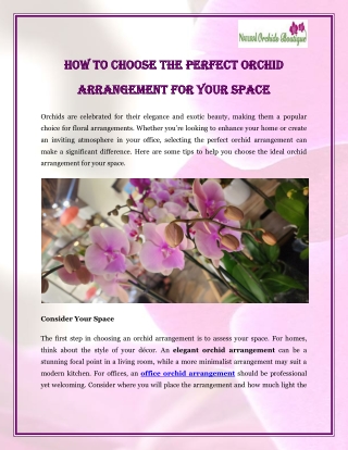How to Choose the Perfect Orchid Arrangement for Your Space