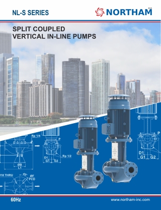 Split Coupled Vertical In-Line Pump - Northam Inc