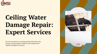 Ceiling Water Damage Repair - Expert Services